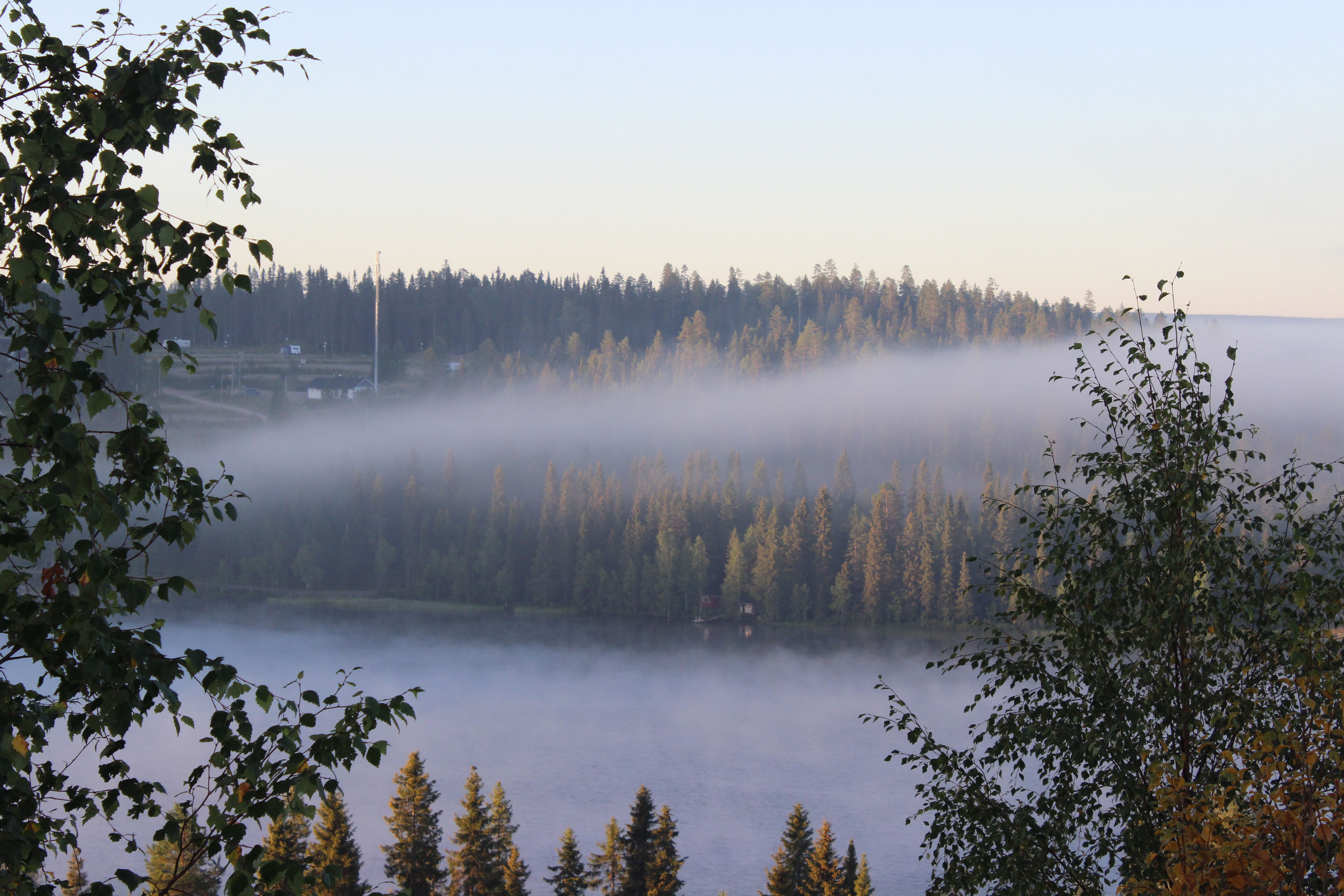 Morning mist over a calm lake framed by birch branches, with forested hills and shoreline buildings beyond